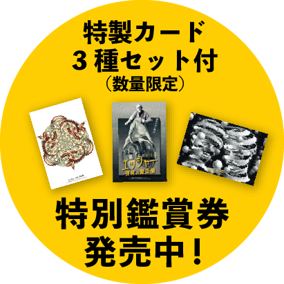 特製カード3種セット付（数量限定）特別鑑賞券発売中!